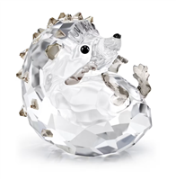 Cristalleria Swarovski in Cristallo 5732808